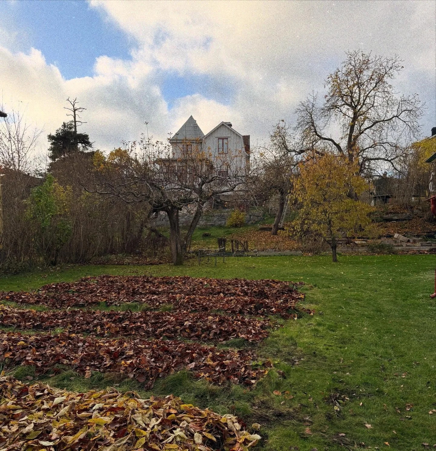Dahliaodlingen🤍 Nu &auml;r den i vila efter &auml;nnu ett &aring;r med s&aring; s&aring; mycket dahlior. T&auml;nk vad den kan..naturen&hellip;🙏🏽