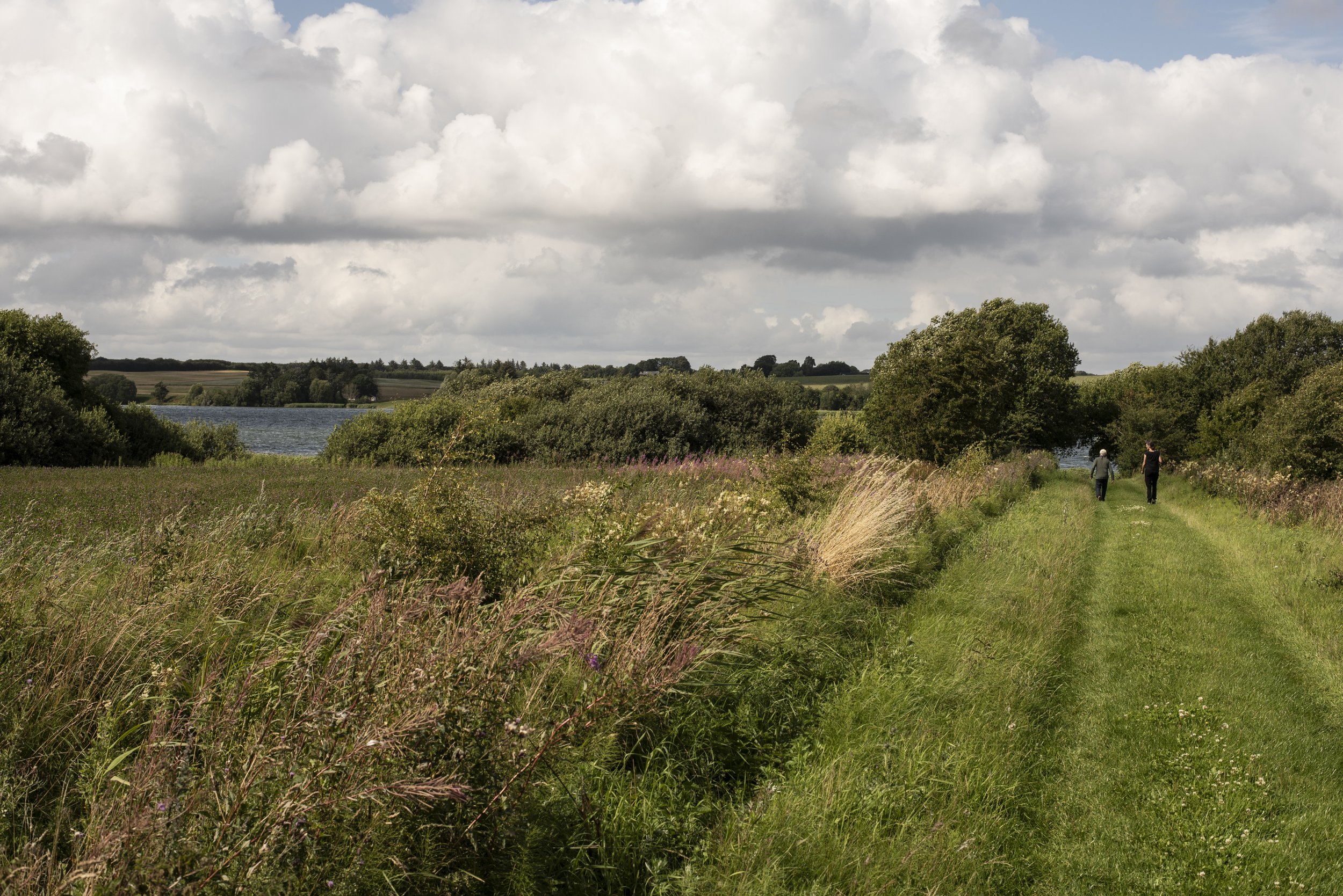 DSC_6070_fin.jpg