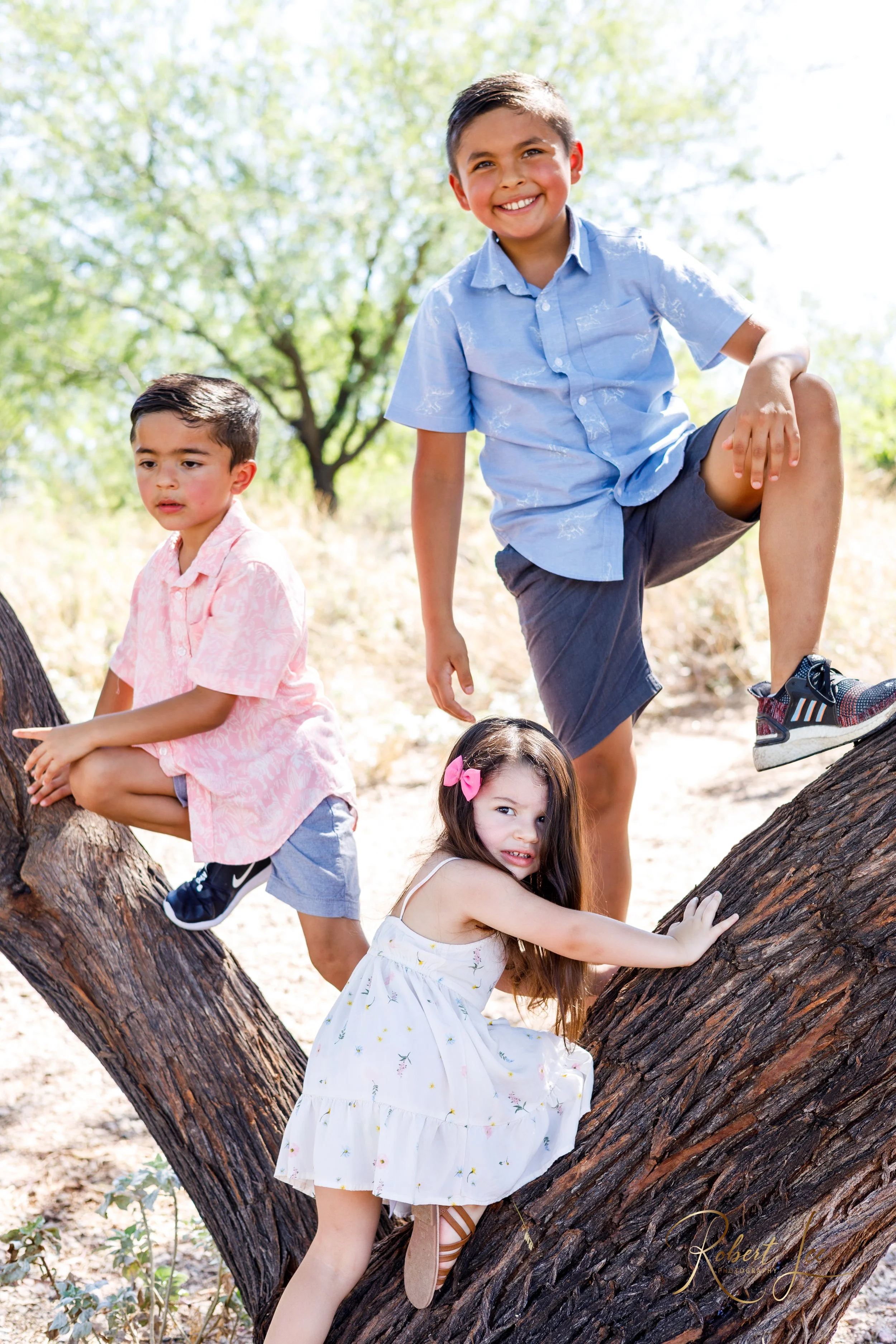 Four children playing on a tree in an outdoor setting with green trees and bright sunlight.