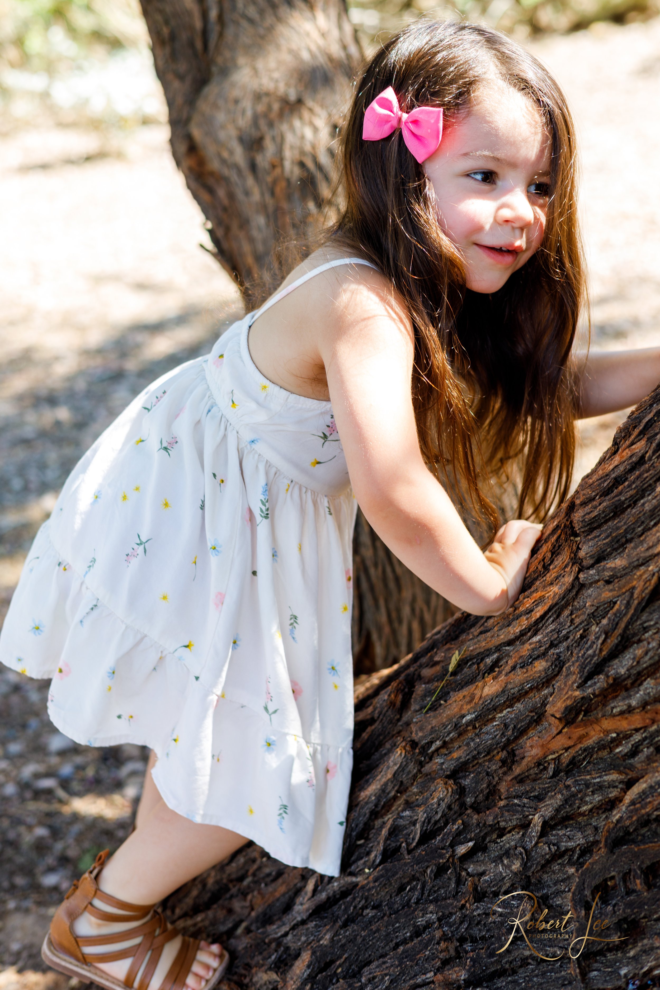 A young girl wearing a white dress with floral patterns and a pink bow in her hair is climbing a tree outdoors. Tucson Portrait photographer. Robert lee Photography.