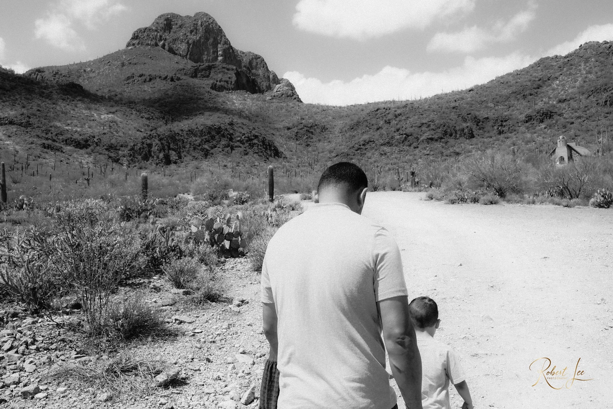 Tucson-Arizona-Sanctuary-Cove-robert-lee-photography-001.JPG