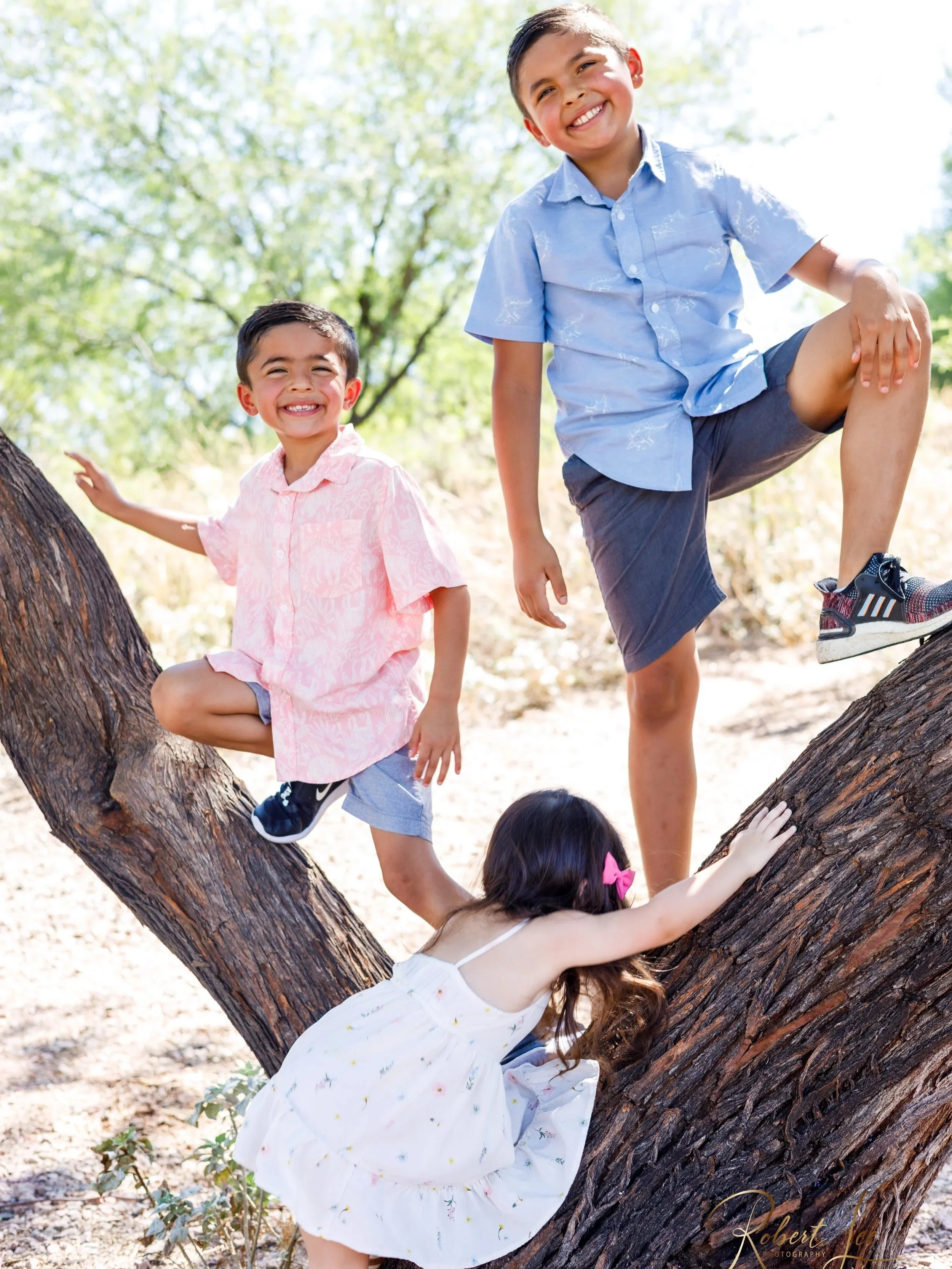 Four kids smiling and climbing on a tree outdoors in sunny weather.