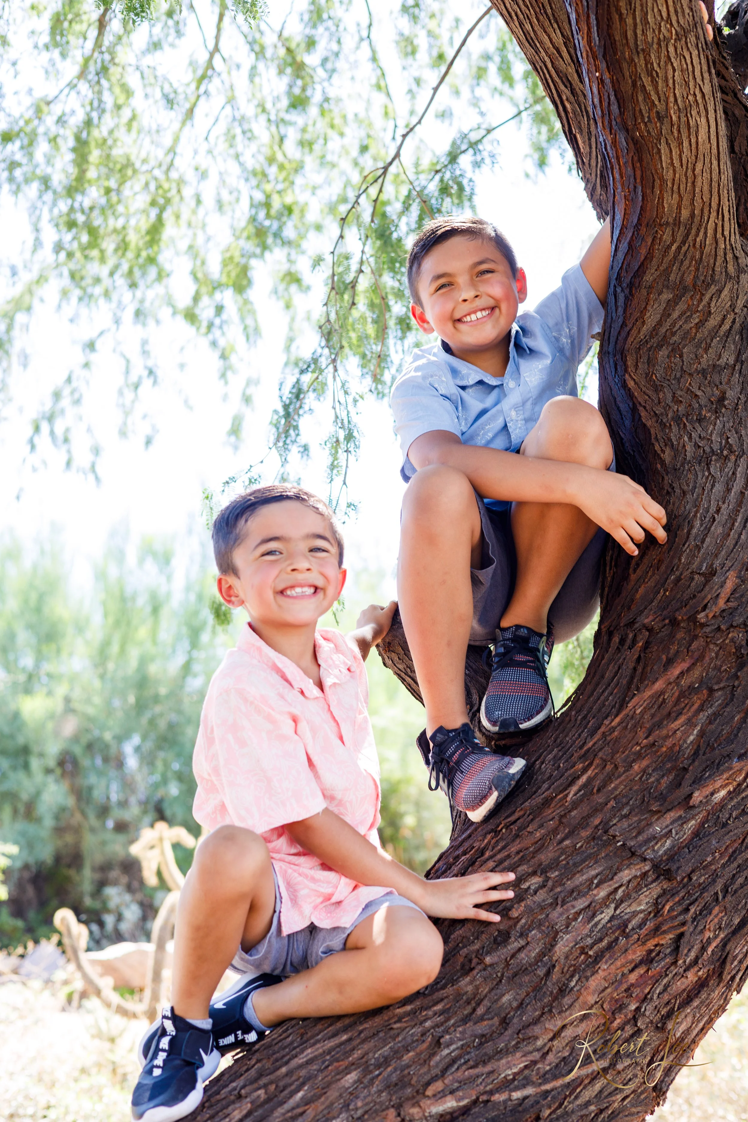 Two boys with short dark hair and smiling faces playing on a large tree in a sunny outdoor setting with green foliage in the background. Tucson Portrait photographer. Robert lee Photography.