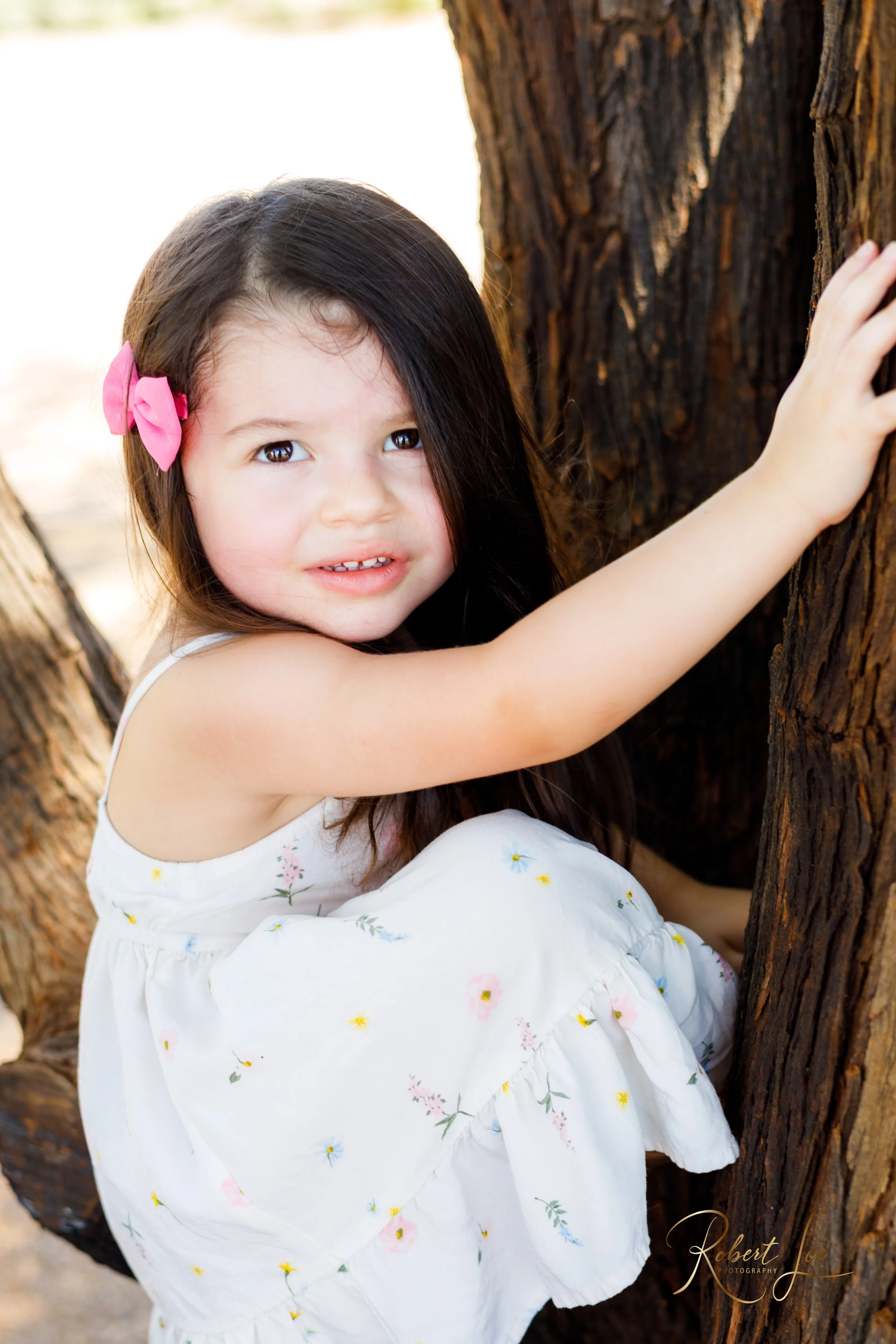 A young girl with long dark hair, wearing a white dress with flowers and a pink hair clip, holding onto a tree trunk with a curious expression. Tucson Portrait photographer. Robert lee Photography.