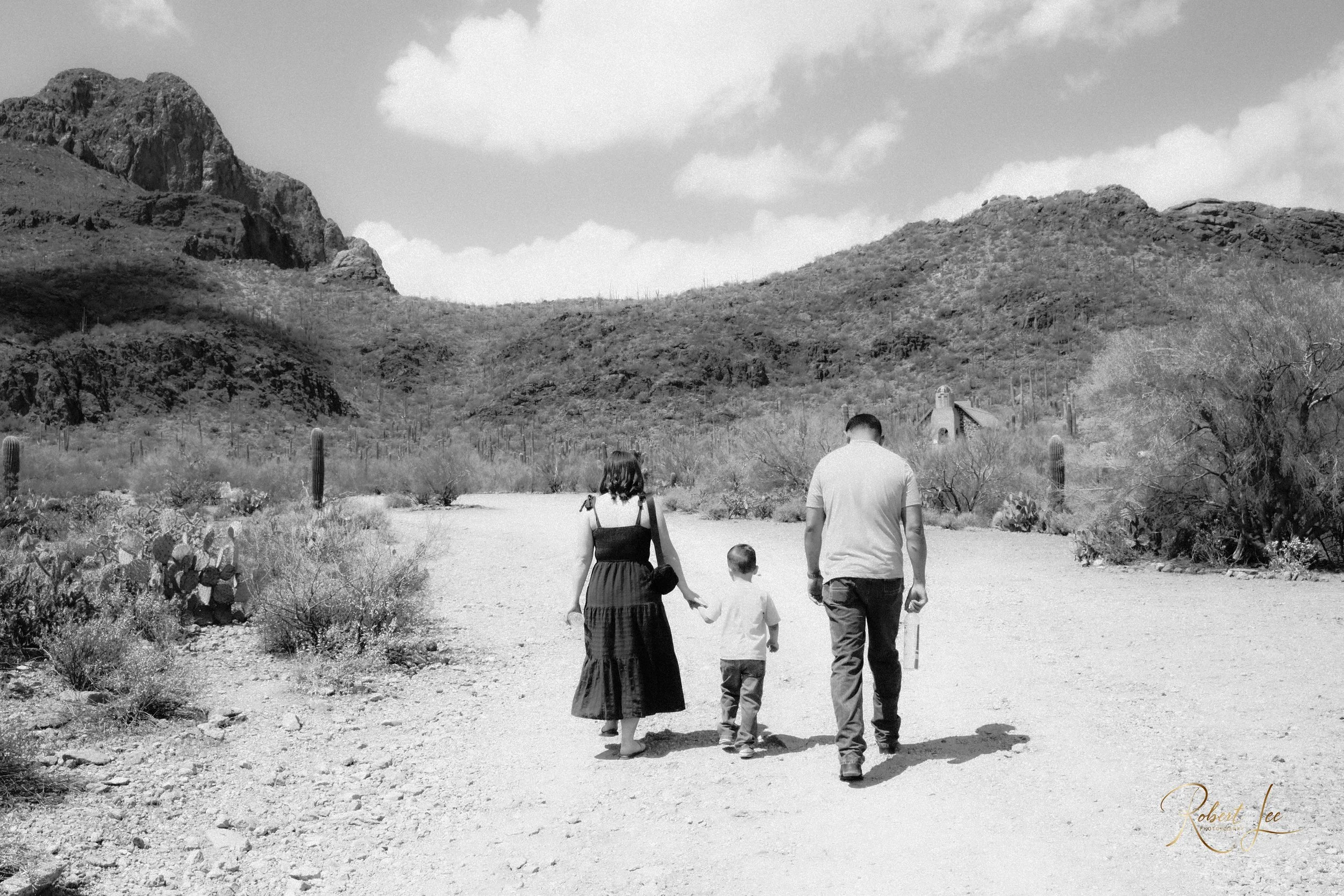 Tucson-Arizona-Sanctuary-Cove-robert-lee-photography-002.JPG