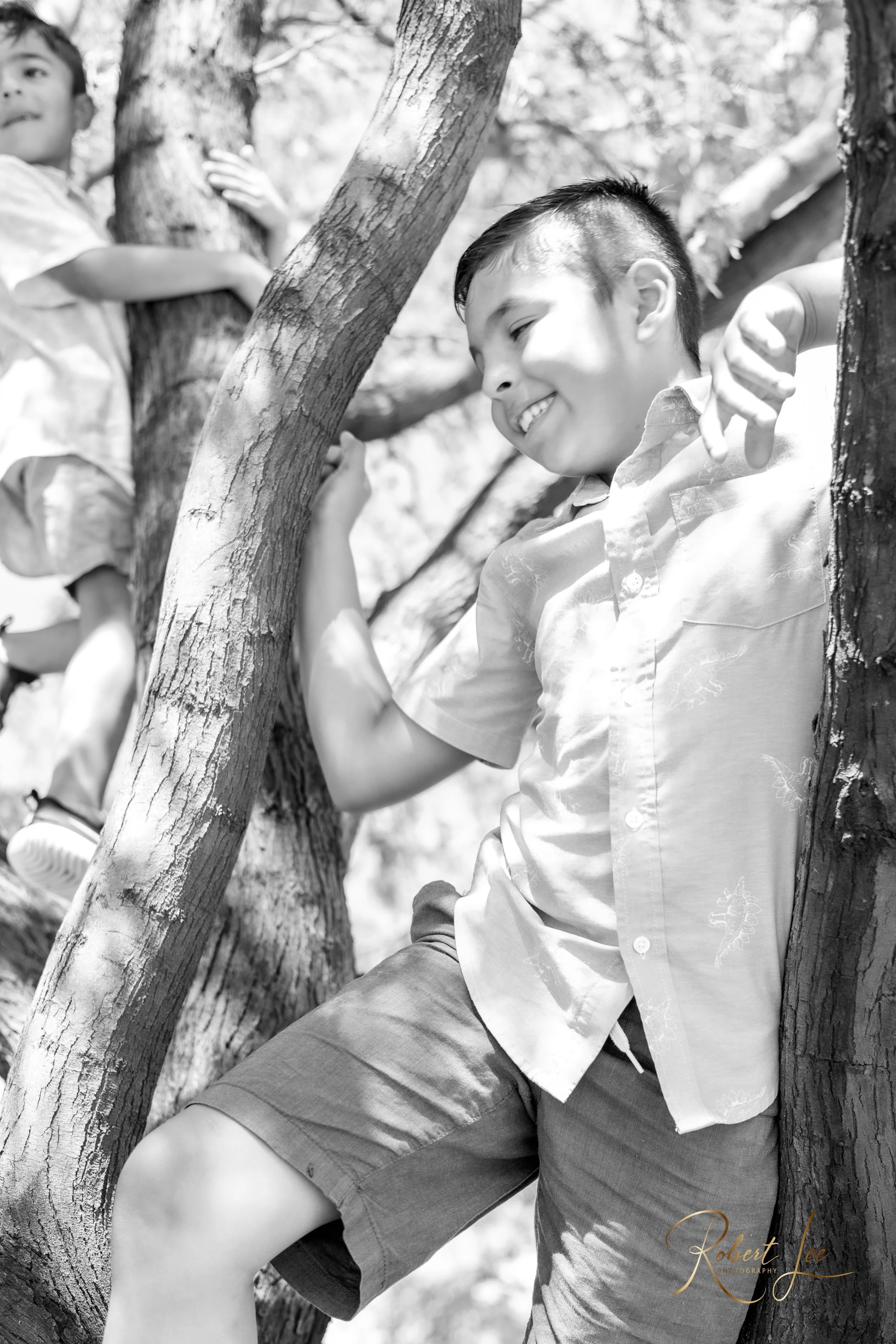 Two boys climbing and playing on trees outdoors, smiling and enjoying nature. Tucson Portrait photographer. Robert lee Photography.