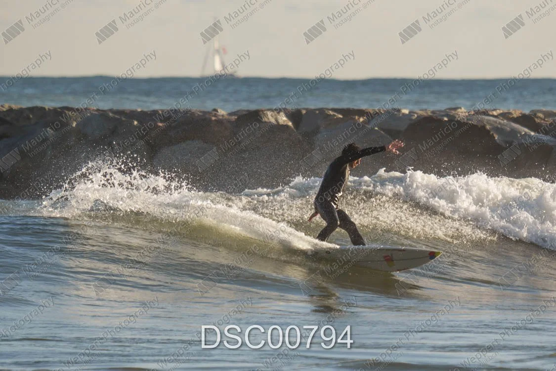 DSC00794.jpg