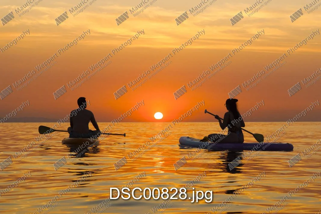 DSC00828.jpg