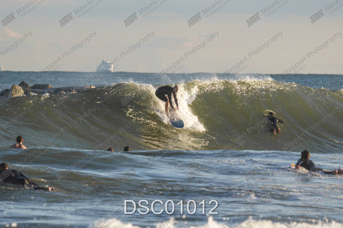 DSC01012.jpg