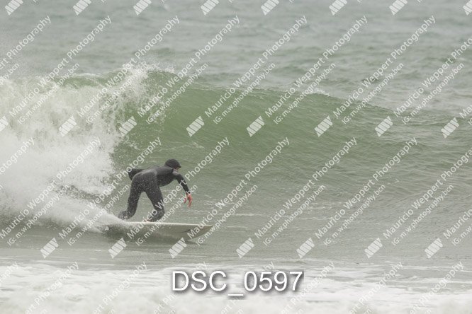 DSC_0597.jpg