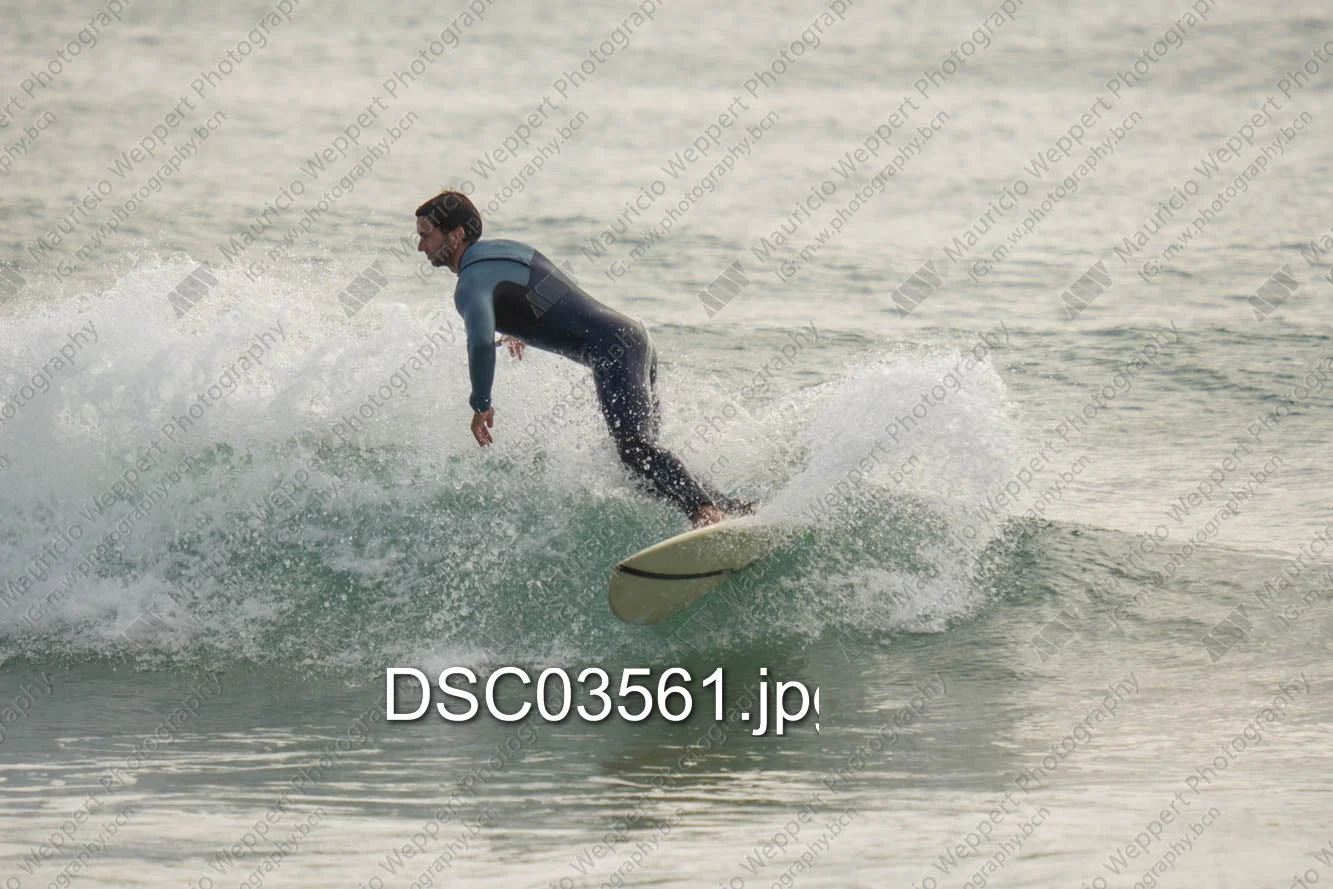 DSC03561.jpg