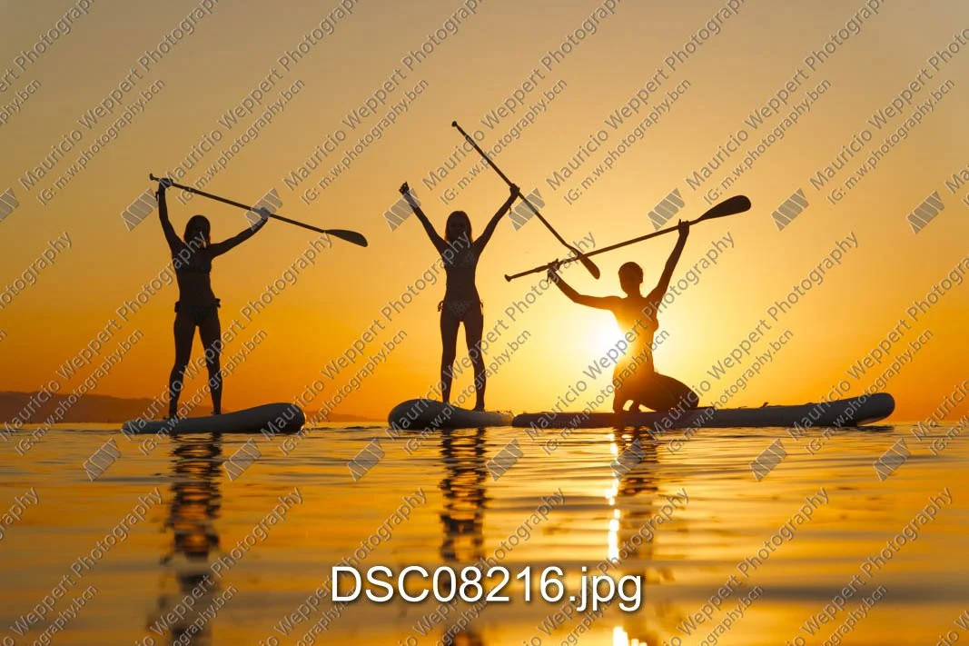DSC08216.jpg