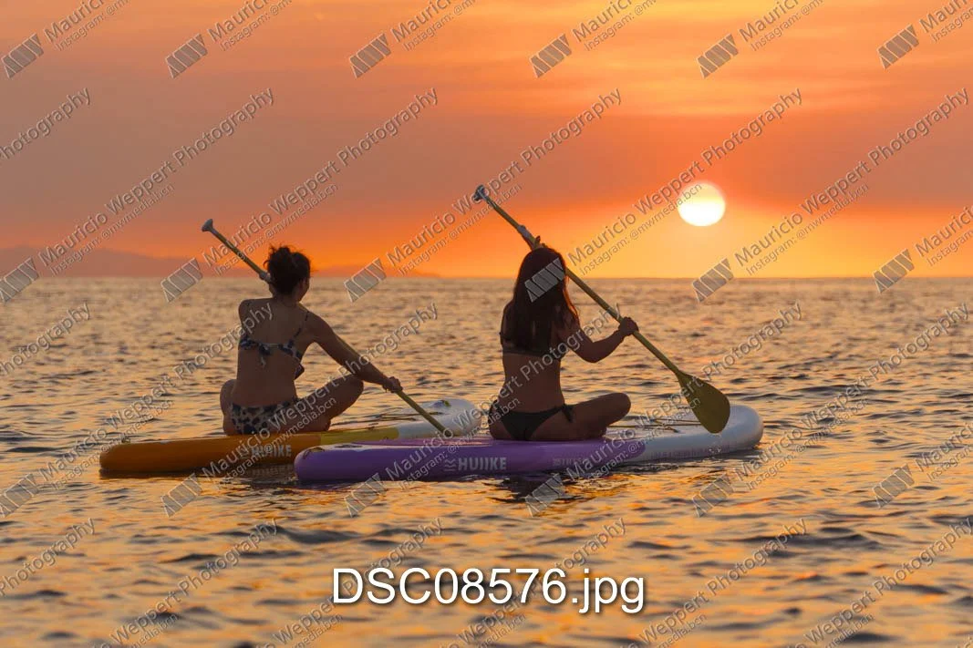 DSC08576.jpg