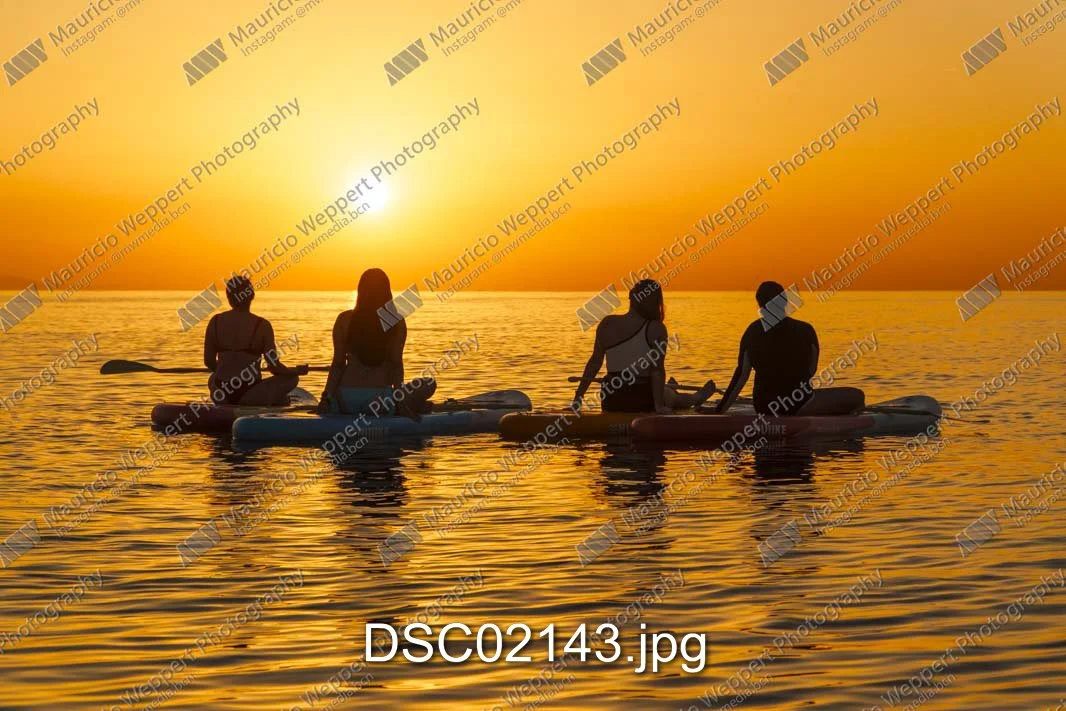 DSC02143.jpg