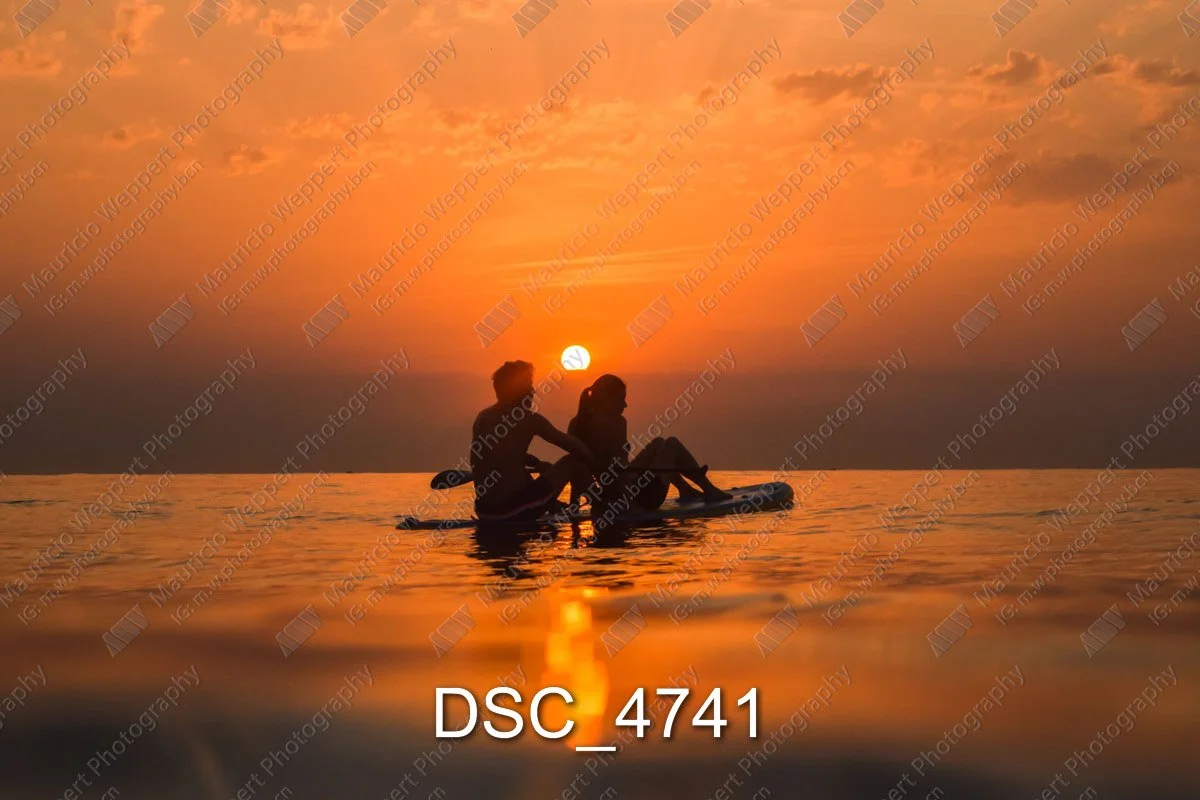 DSC_4741.jpg