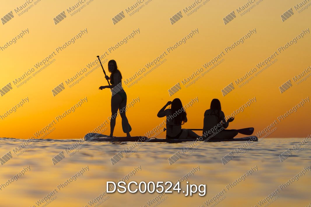 DSC00524.jpg