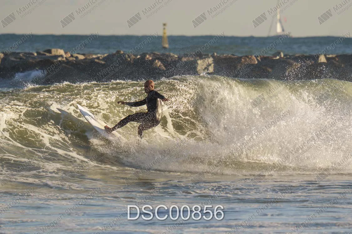 DSC00856.jpg
