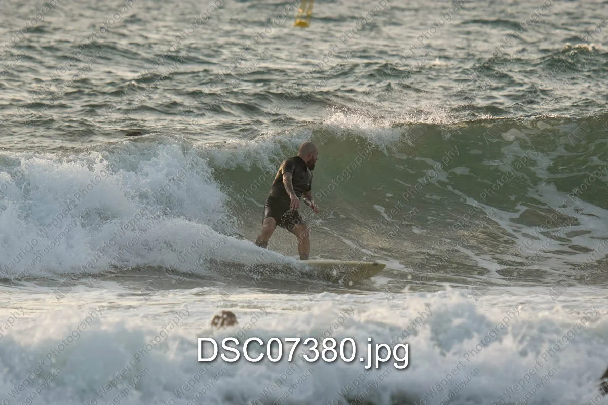 DSC07380.jpg