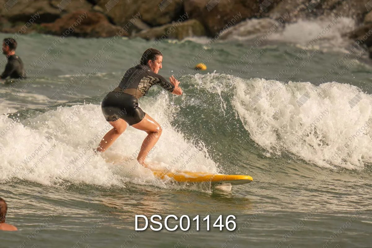 DSC01146.jpg
