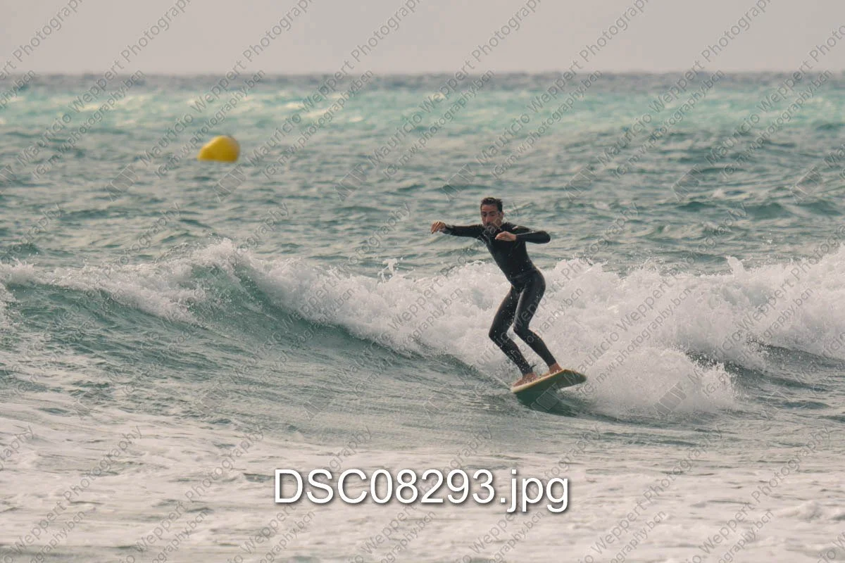 DSC08293.jpg