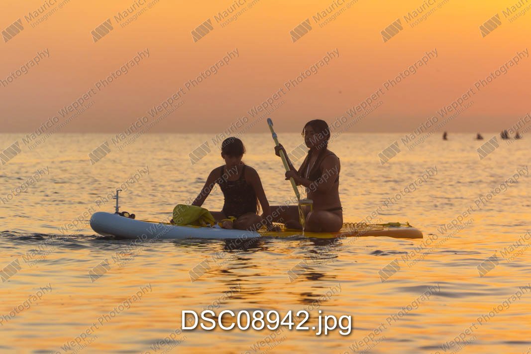 DSC08942.jpg