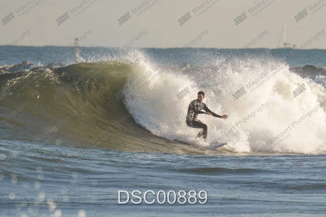 DSC00889.jpg