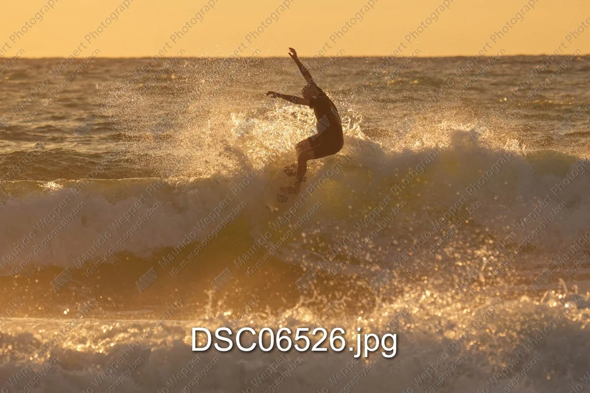 DSC06526.jpg