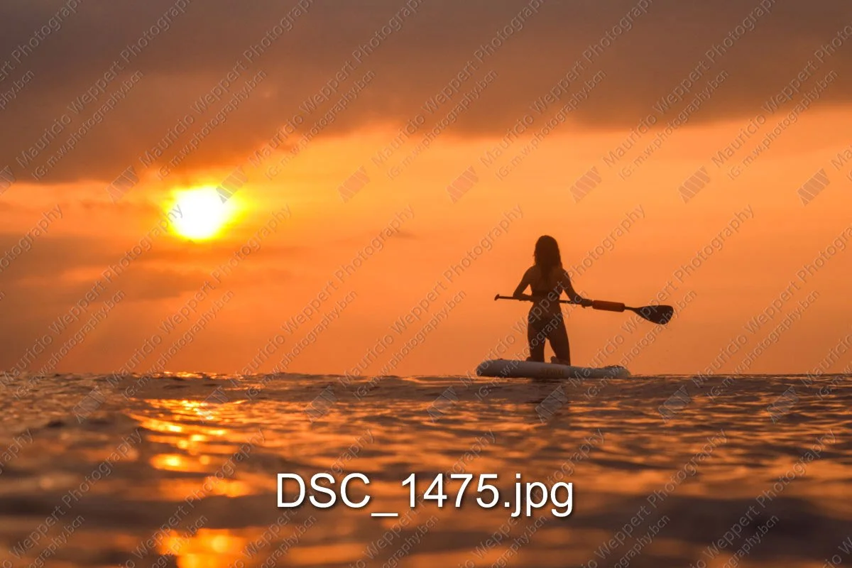 DSC_1475.jpg