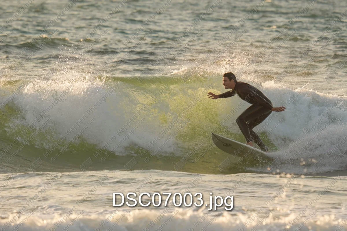 DSC07003.jpg