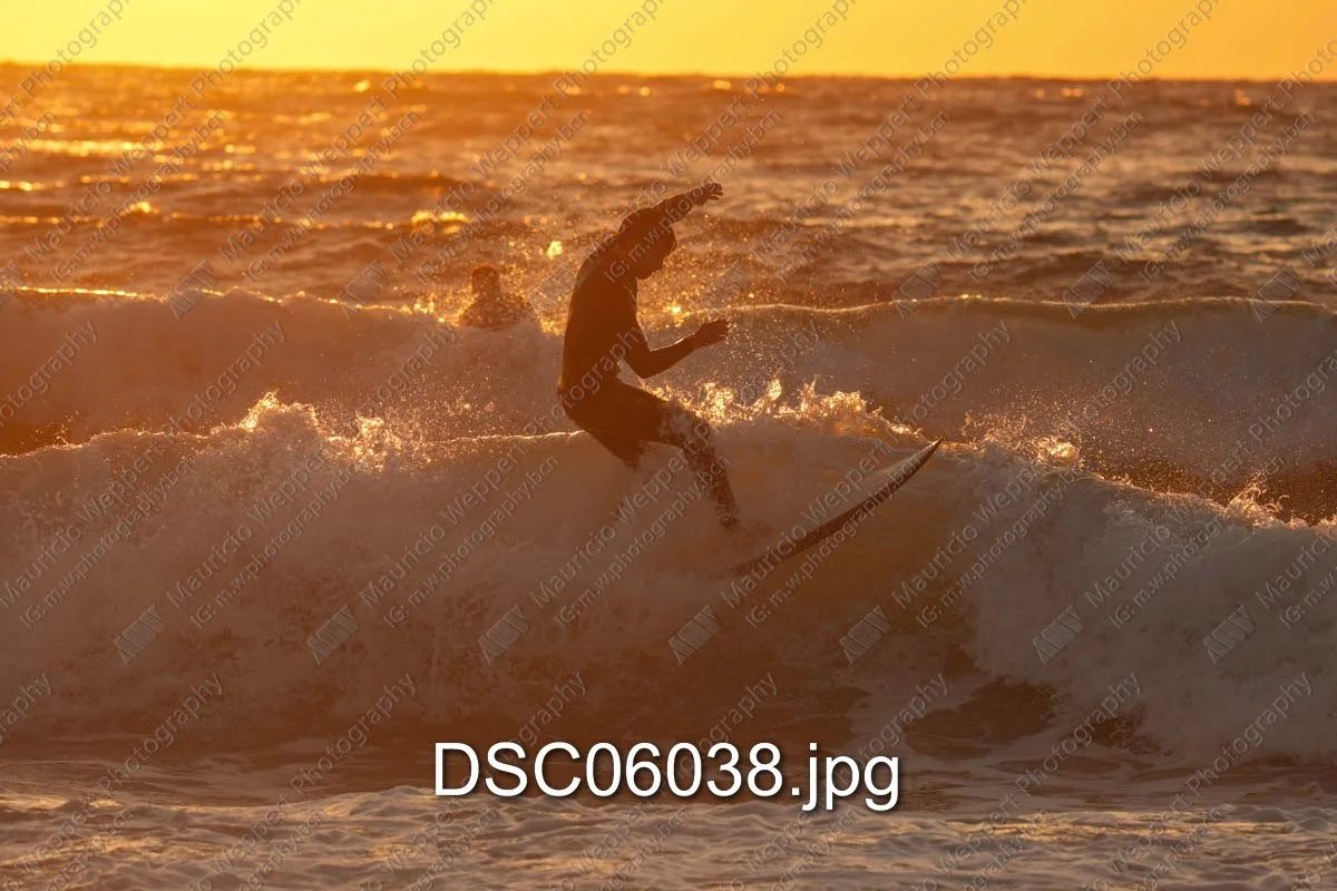 DSC06038.jpg