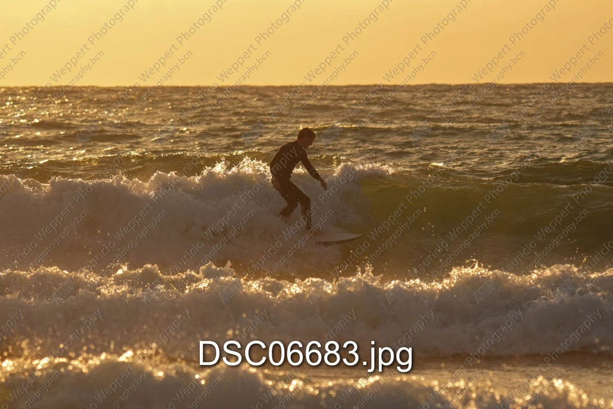 DSC06683.jpg