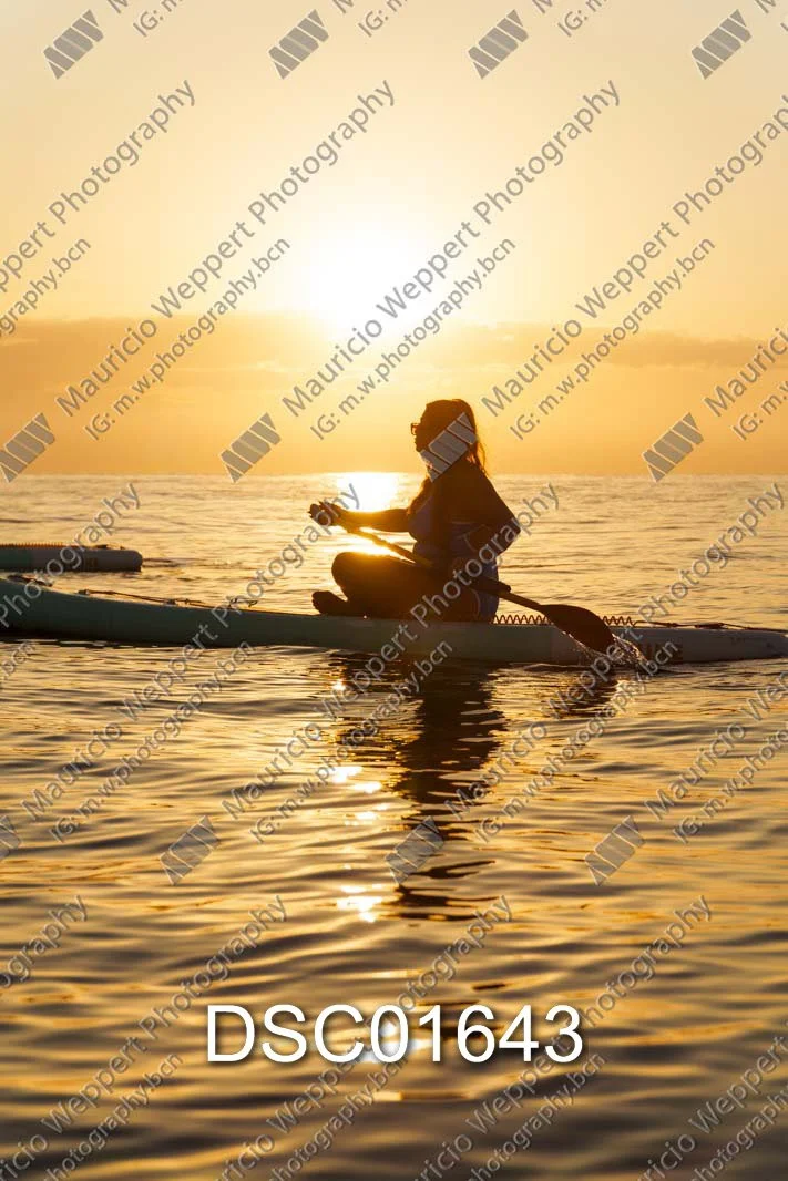 DSC01643.jpg