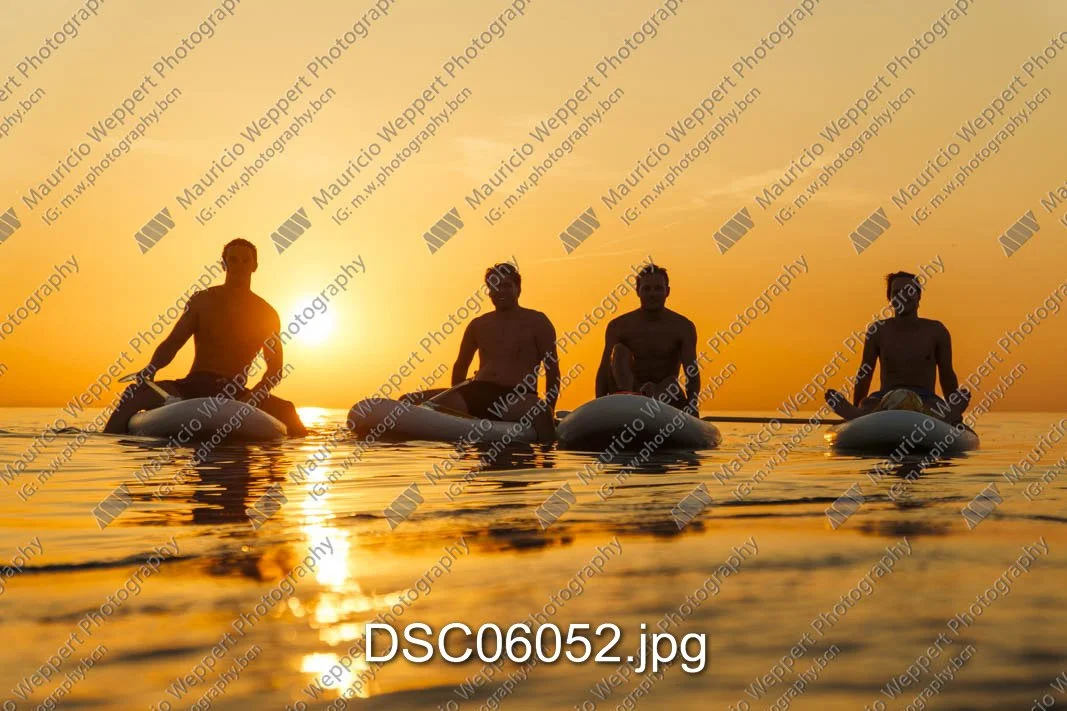 DSC06052.jpg
