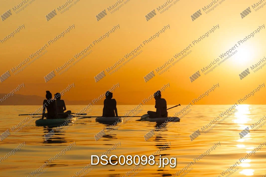 DSC08098.jpg
