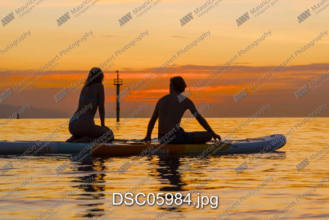 DSC05984.jpg