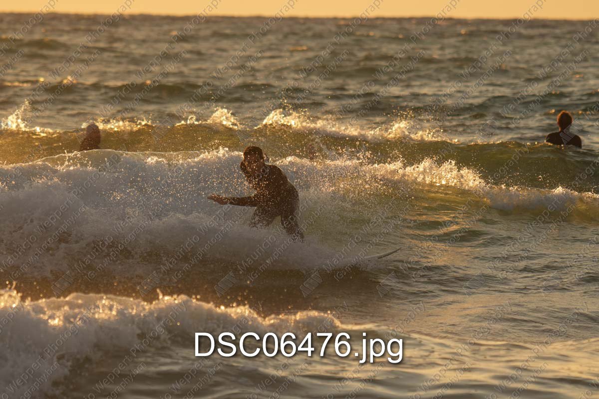 DSC06476.jpg