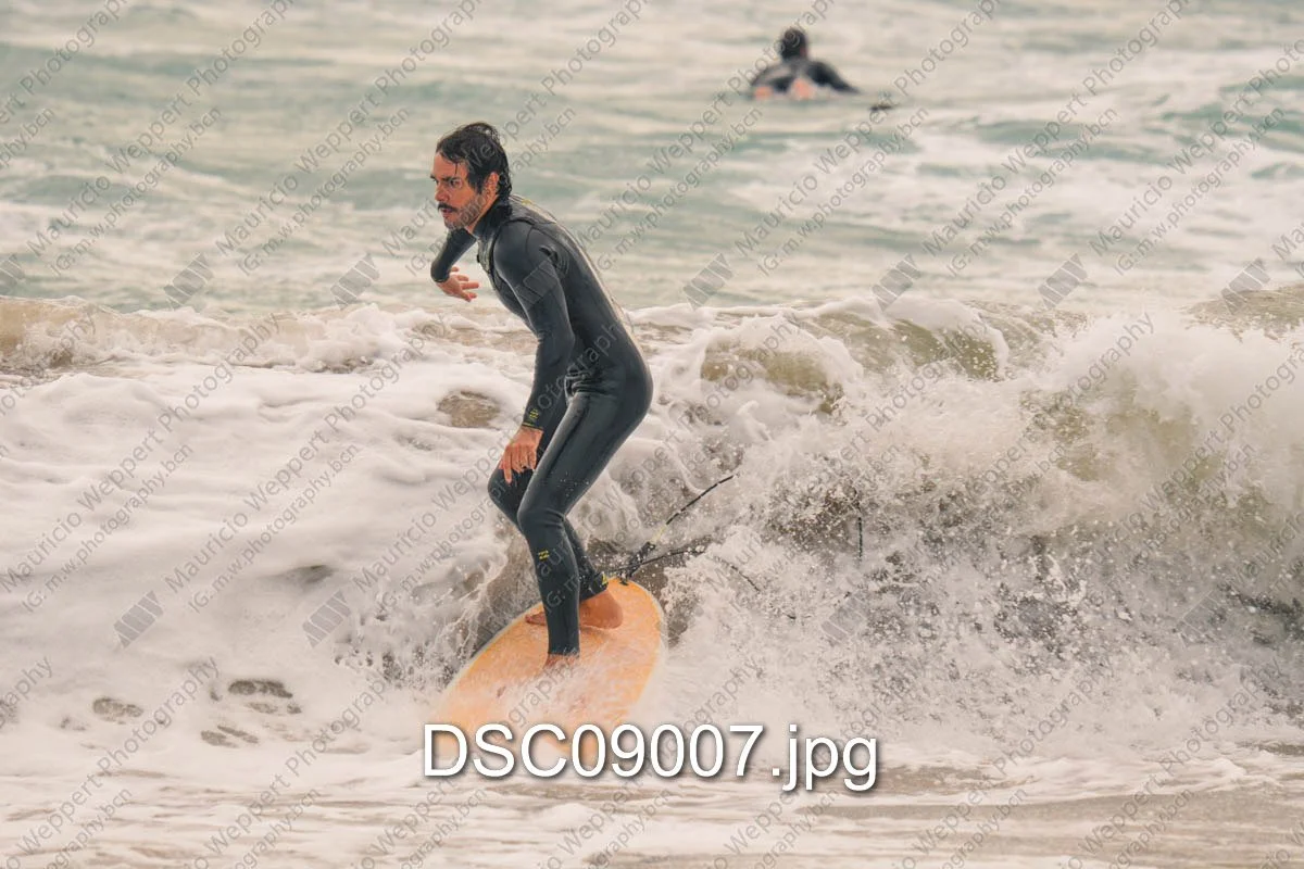 DSC09007.jpg