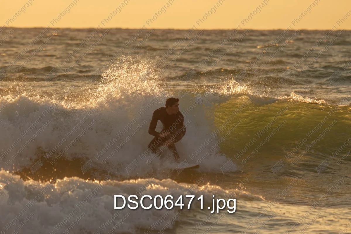 DSC06471.jpg