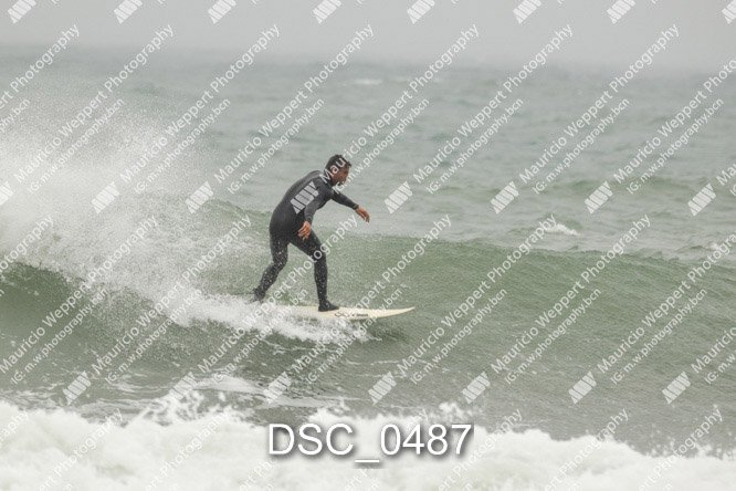 DSC_0487.jpg