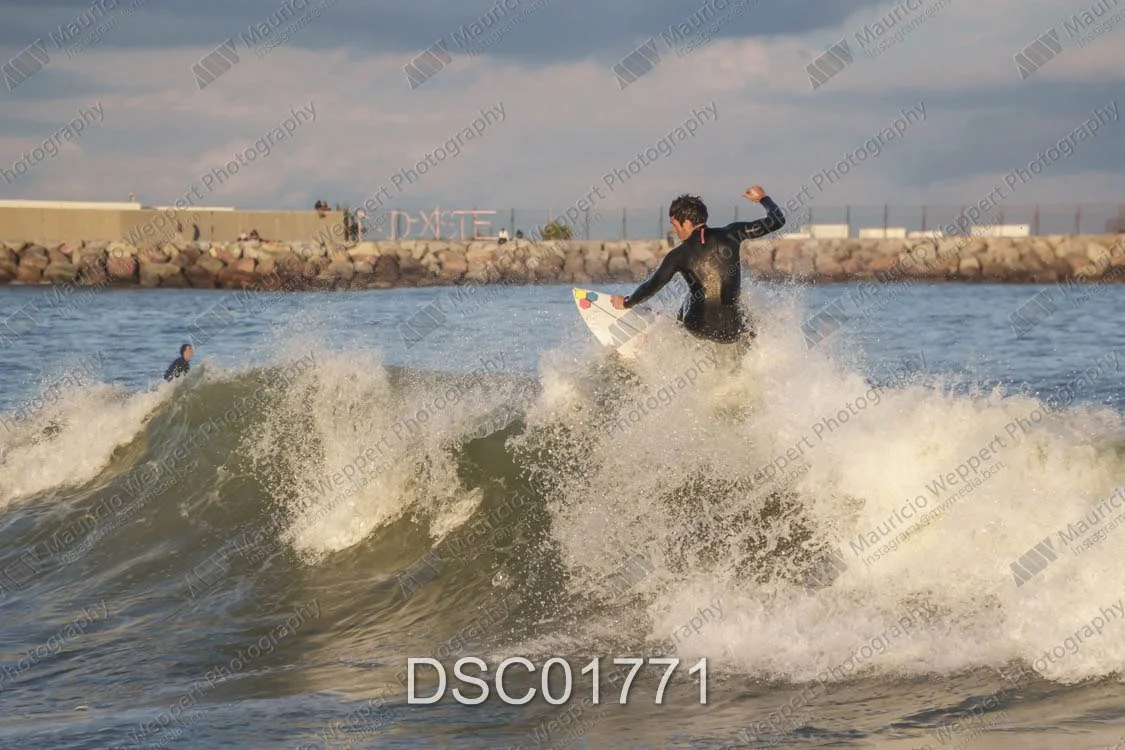 DSC01771.jpg
