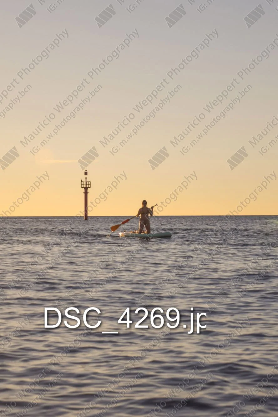 DSC_4269.jpg