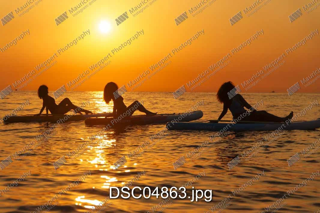 DSC04863.jpg