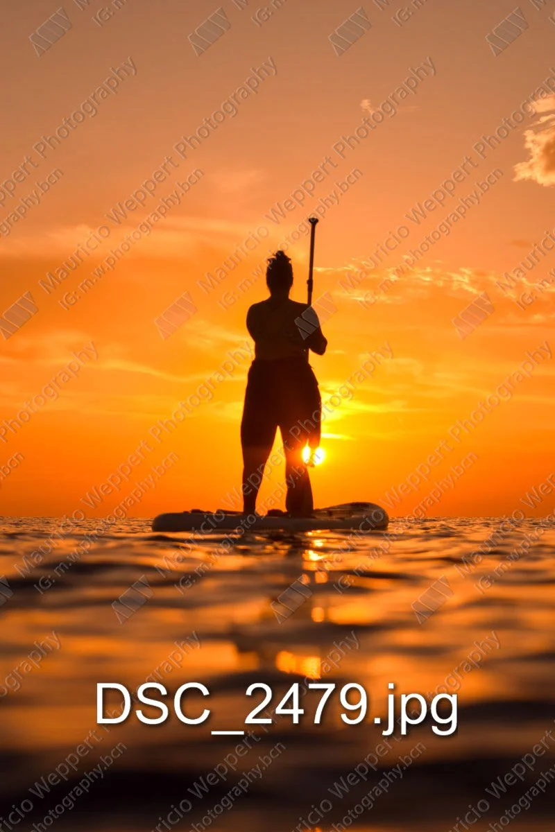DSC_2479.jpg