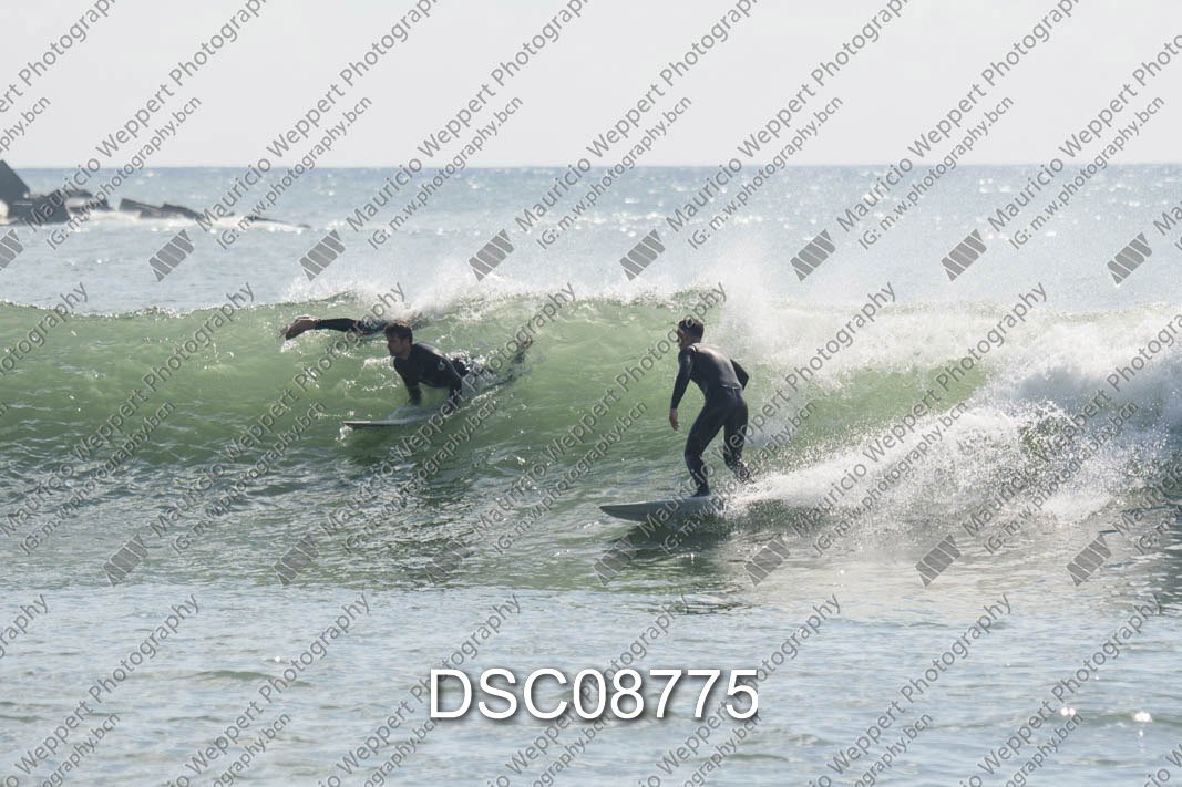 DSC08775.jpg
