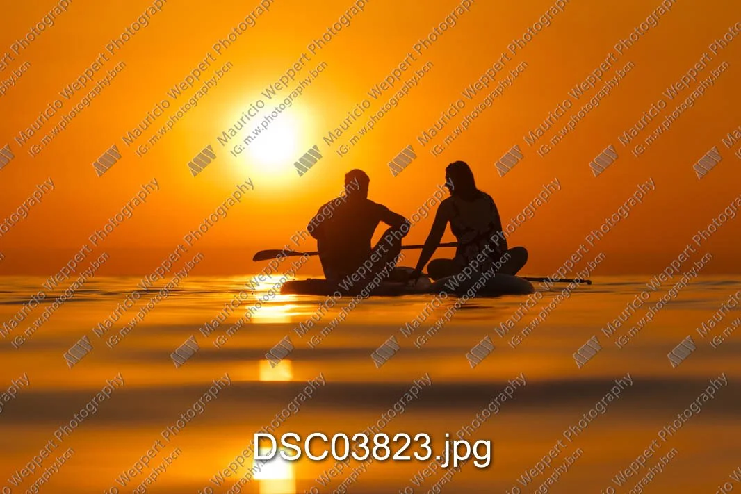 DSC03823.jpg