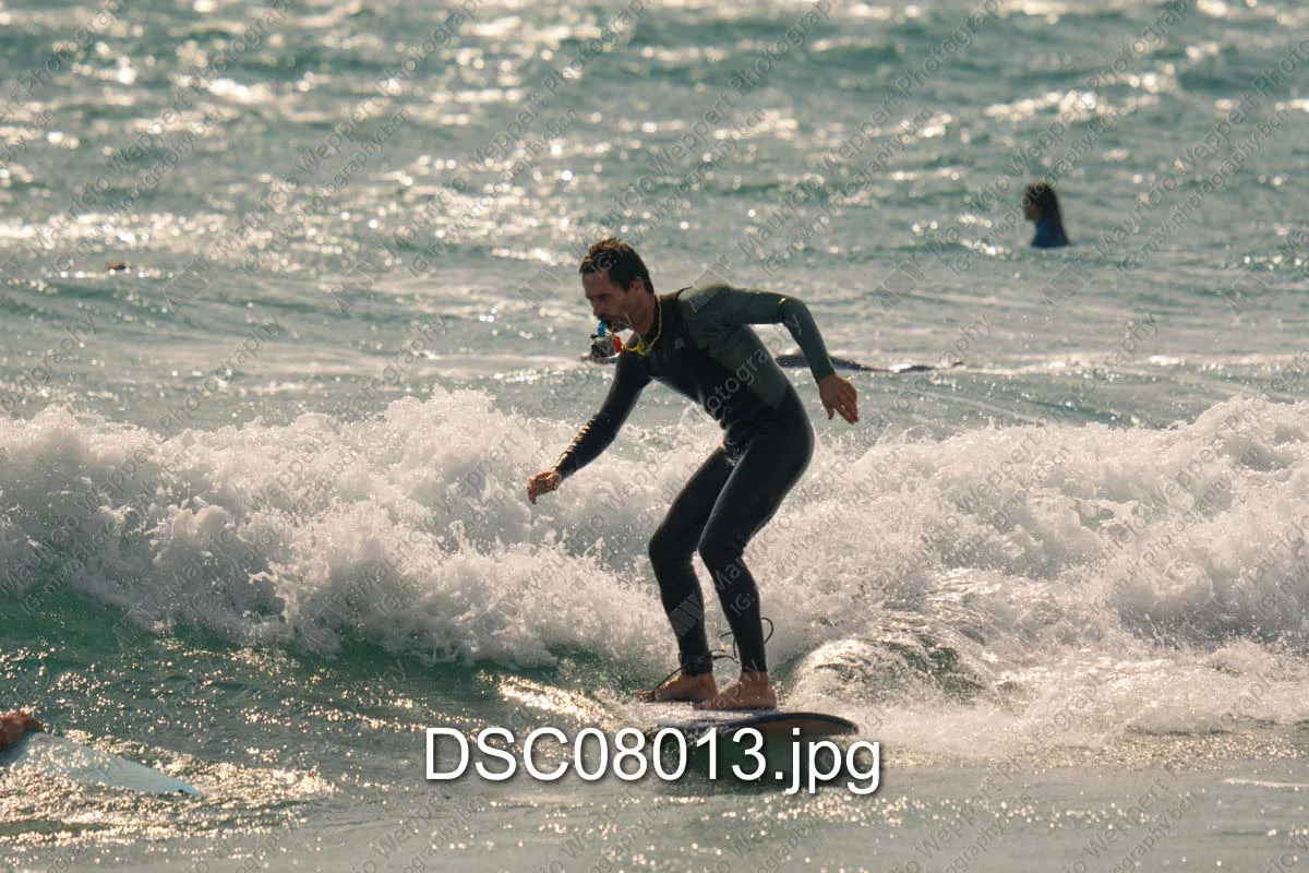 DSC08013.jpg