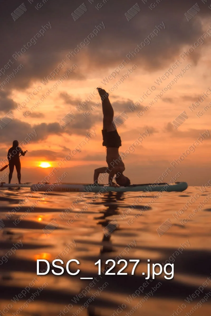 DSC_1227.jpg