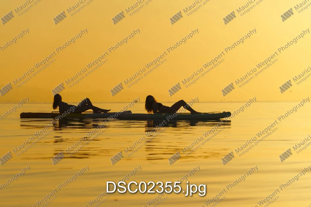 DSC02355.jpg