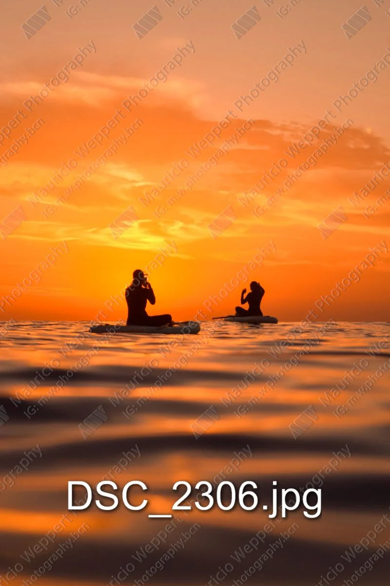 DSC_2306.jpg