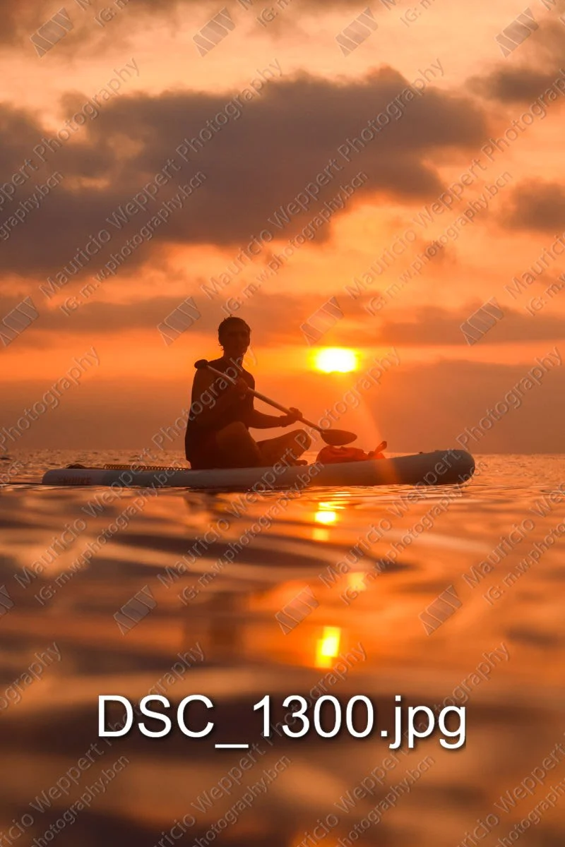 DSC_1300.jpg